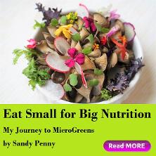 Microgreens and flowers: Eat Small for Big Nutrition by Sandy Penny