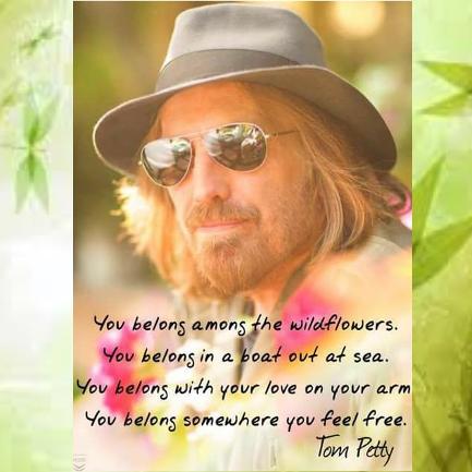 be free Tom Petty meme