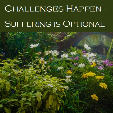 Challenges Happen - Suffering is Optional by Sandy Penny